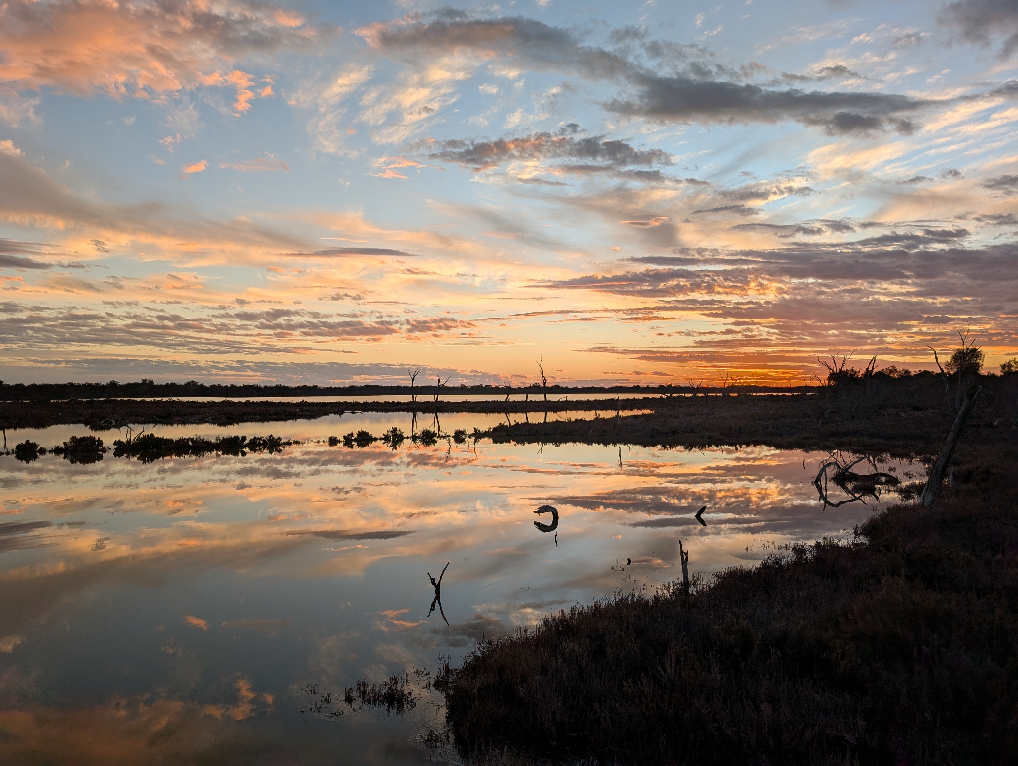wetlands-photo